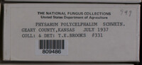 Image Associated With the Occurence